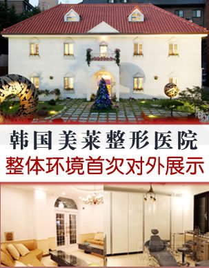韩国美来整形医院