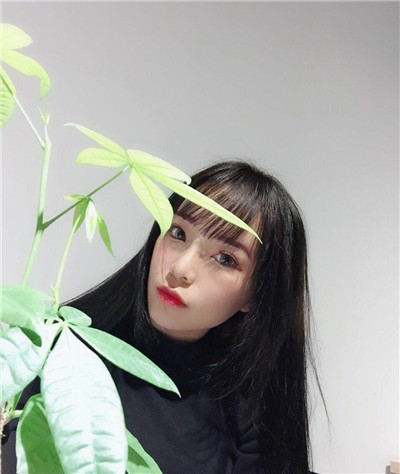 北京八大处,刘暾,肋软骨隆鼻,案例,价格,